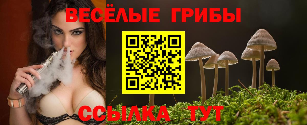 Галлюциногенные грибы MAGIC MUSHROOMS Калининград