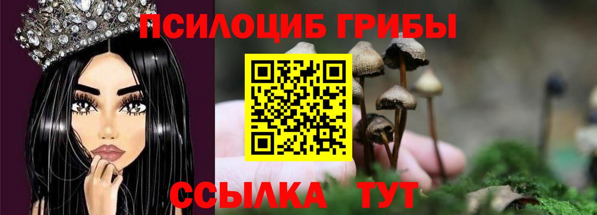 Псилоцибиновые грибы прущие грибы  как найти закладки  Калининград  Вход с VPN  Псилоцибиновые грибы Psilocybine cubensis 